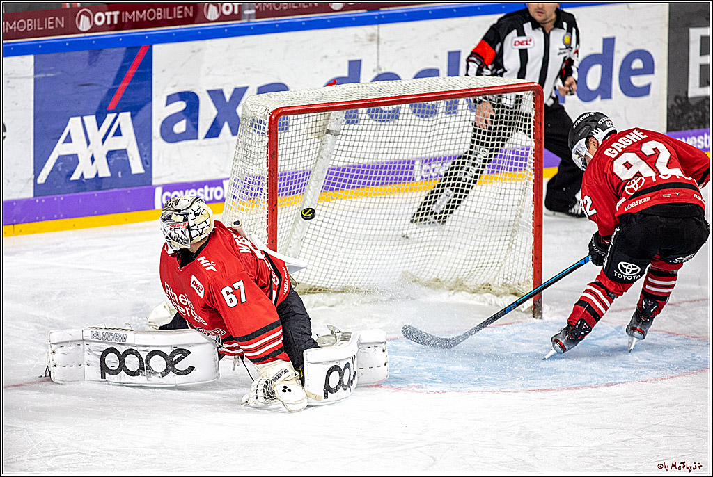 DEL; Koelner Haie - Straubing Tigers; Koeln, 17.11.2019